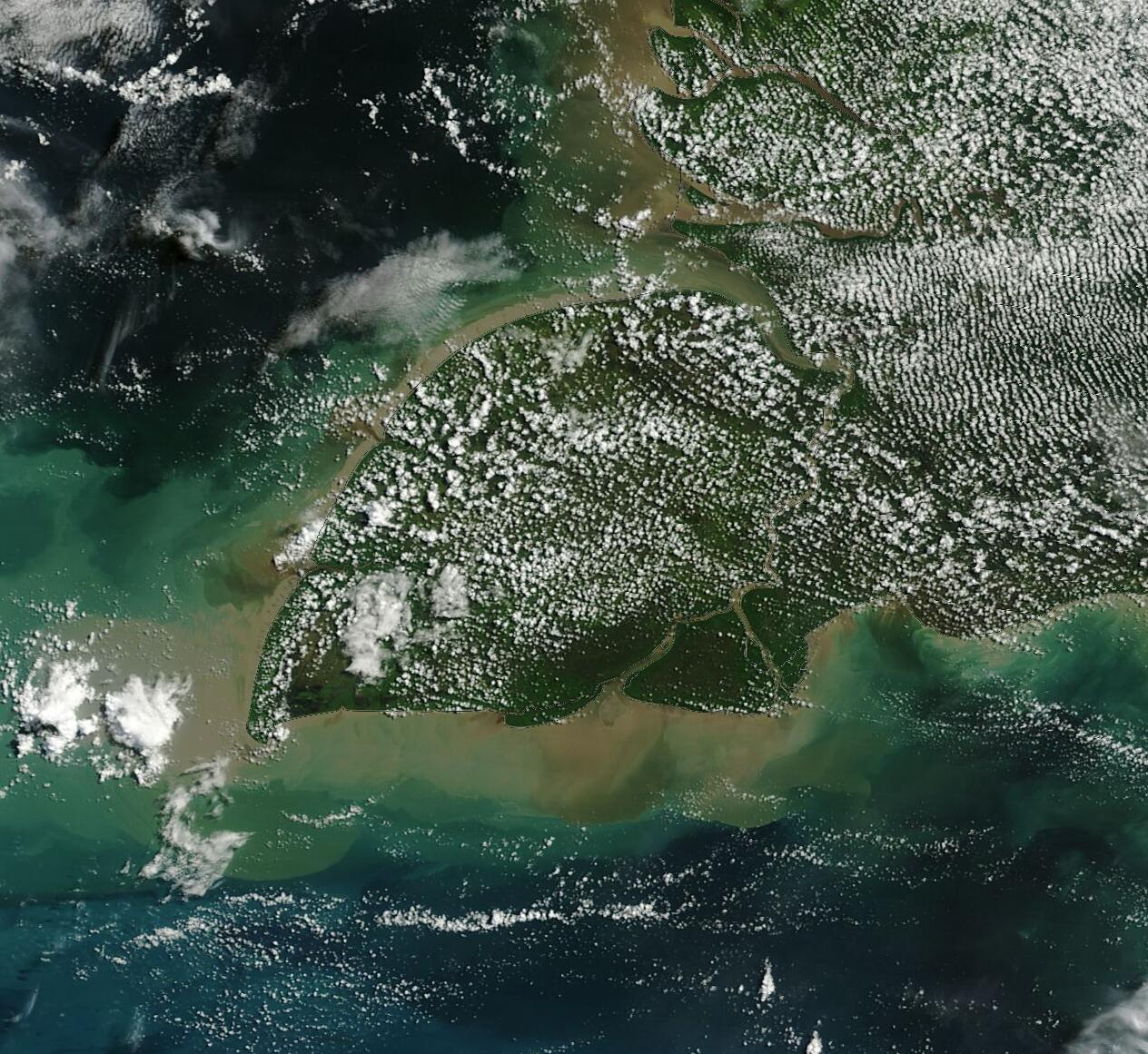 Cumulus clouds over a flat island viewed by satellite