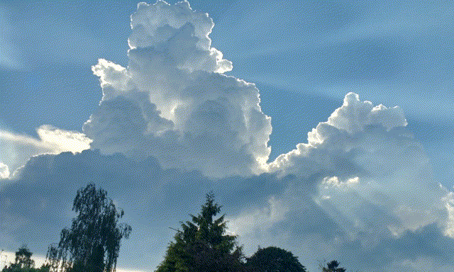A animated image shows where lions can be seen in a picture of some clouds