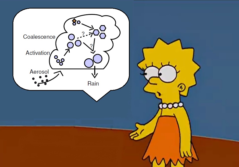 Lisa delivers a lecture on cloud microphysics